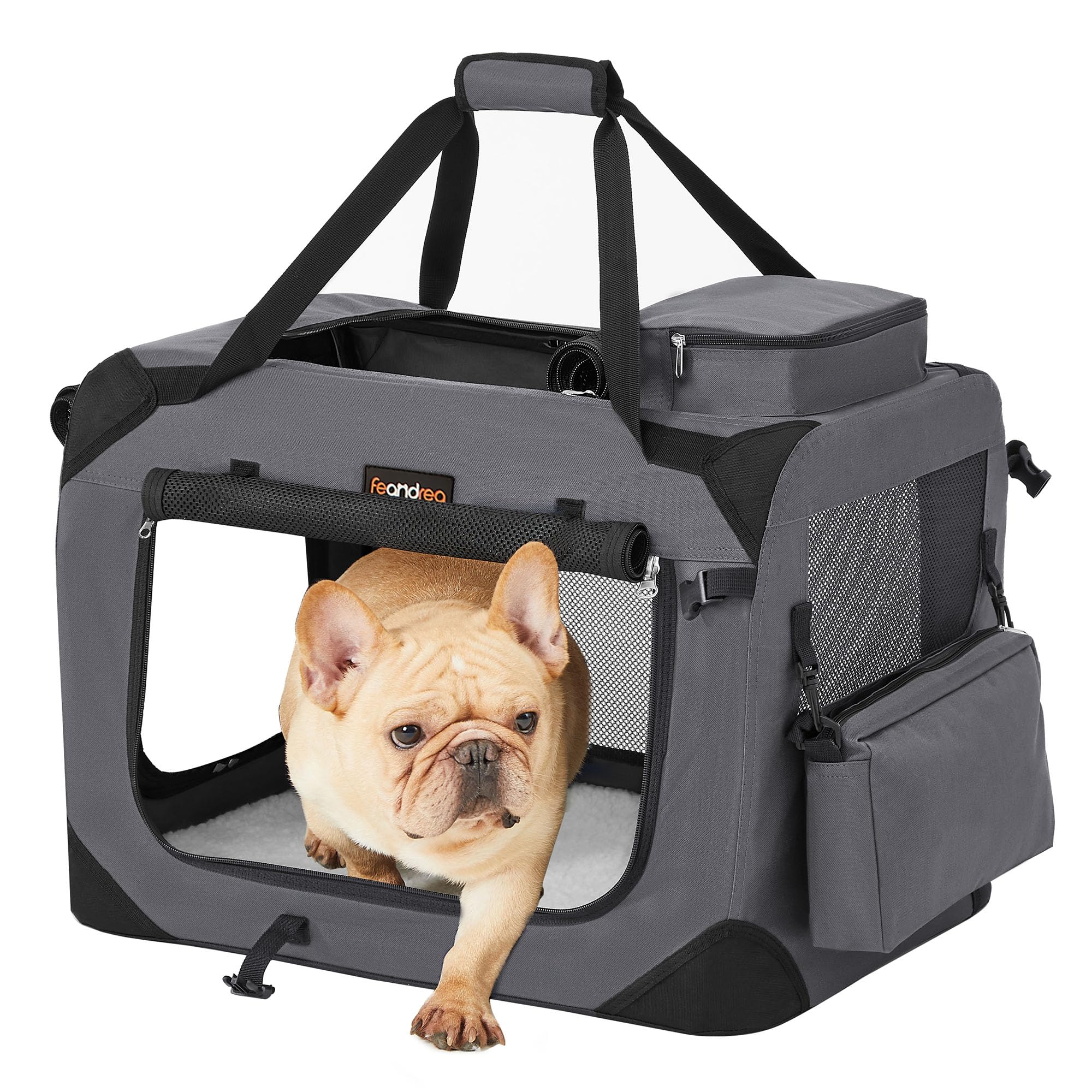 Feandrea Hundebox M faltbar – Transportbox mit Oxford-Gewebe für Hunde 7–11 kg