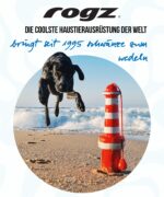 Rogz Lighthouse Wasserspielzeug für Hunde – Schwimmspielzeug mit Schnur & Apportiergriff – Bild 7