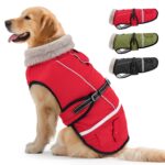Woiil Hundemantel XL Wintermantel wasserdicht – Wärmeschutz für grosse Hunde