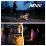 HENMI Leuchtgeschirr Set (L) mit LED & Hundeleine – Reflektierendes Sicherheitsgeschirr für mittlere Hunde – Bild 8