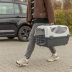 TRIXIE Capri III Open Top Transportbox 40×38×61 cm – Sichere Haustierbox für Hunde & Katzen – Bild 2