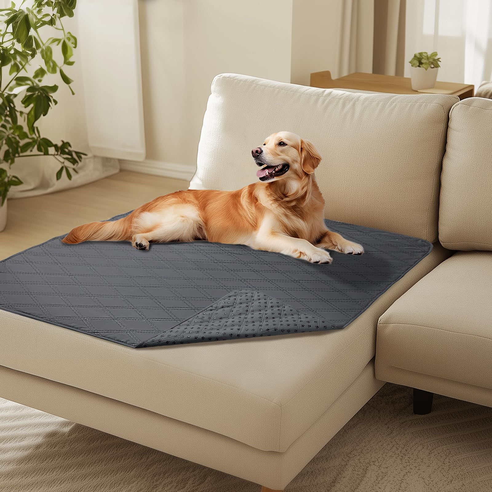 luciphia Wasserdichte Hundedecke 101x127cm – Rutschfest & Maschinenwaschbar für Sofa & Auto