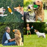 AOKEASE Hundespielzeug 18er Set – Quietschendes Plüschspielzeug für Welpen & grosse Hunde – Bild 7