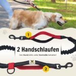 Hundefreund Joggingleine mit Bauchgurt Schwarz – Freihandleine für Hunde bis 70 kg – Bild 6