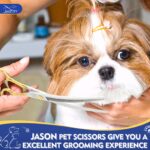 JASON 7.5" Effilierschere für Hunde – 43 Zähne Edelstahl Fellschere mit ergonomischem Griff – Bild 3