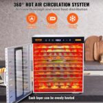 VEVOR Dörrautomat 1000 W mit 10 Edelstahl-Tabletts – 360° Heissluft für gleichmässiges Trocknen – Bild 7