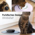 LucyBalu Bowl Porzellan Katzennapf 2er-Set – Kippsicher & Schnurrhaarfreundlich – Bild 2