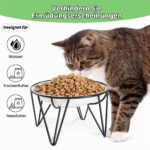 Wellbro Erhöhter Keramik-Katzennapf 2er-Pack – Gegen Erbrechen & Schnurrhaarverschleiss – Bild 3
