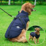 Aiboria Hundejacke L – Winddicht & Wasserdicht Wintermantel für kleine Hunde – Bild 8