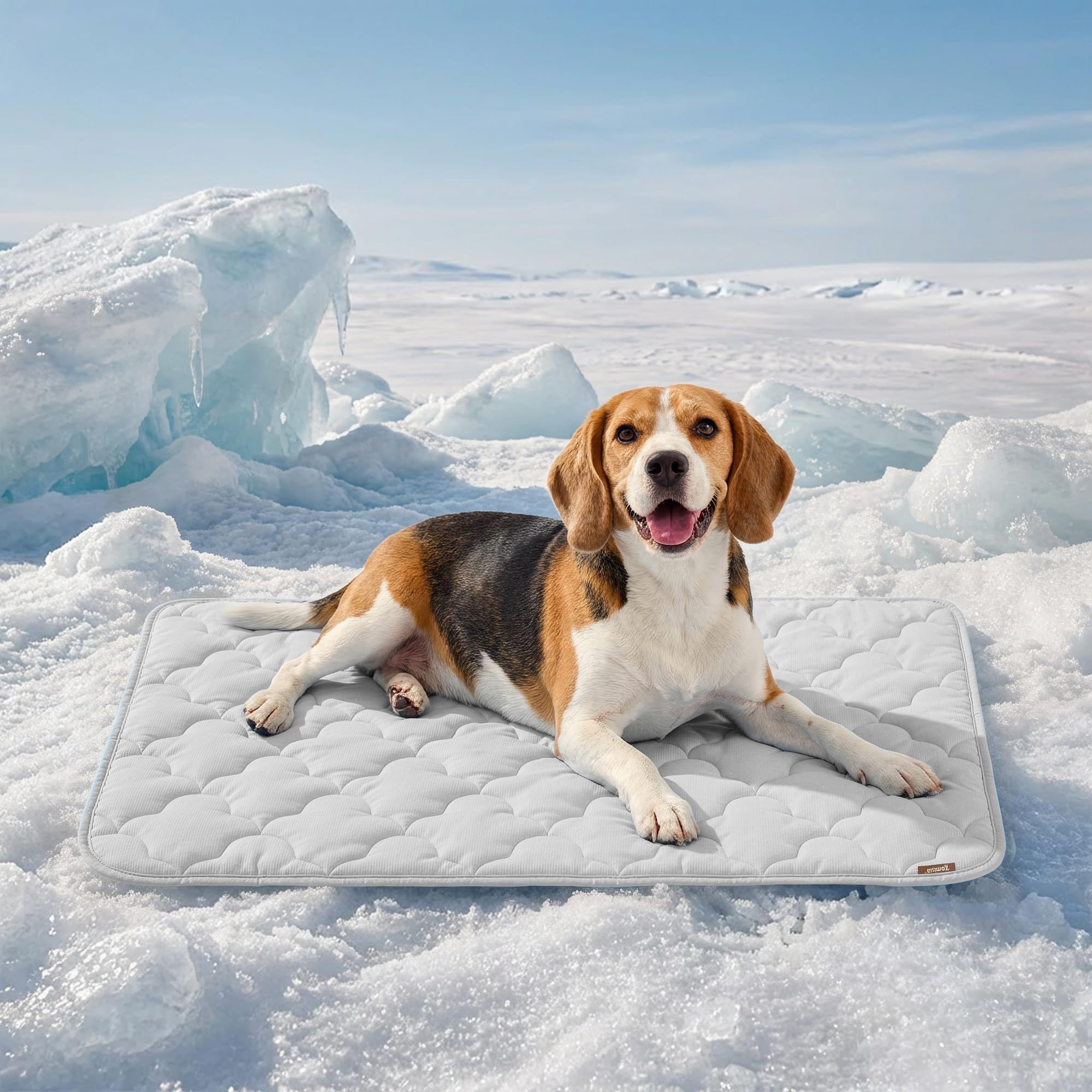 ZOMISIA Kühlmatte Hunde 89x56 cm – Selbstkühlend mit Q-Max>0.5 für grosse Hunde