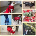 Aisuowa Hundewintermantel wasserdicht mit Fleece – Wärmeschutz für kleine bis grosse Hunde – Bild 7