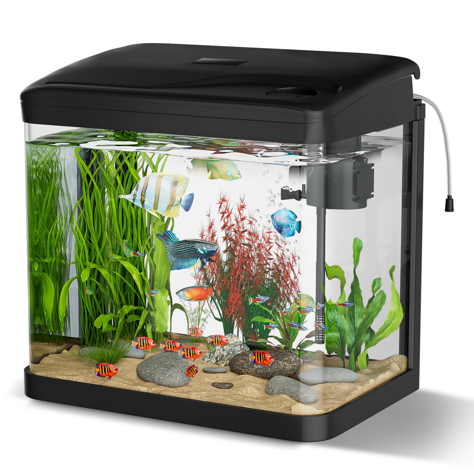 GuKKK 6L Nano Aquarium Komplettset mit LED & Filter – Einsteiger-Aquarium für Anfänger
