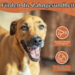 Wildfang® Kauwurzel Grösse M aus Baumheide – Natürliches Kauspielzeug für Hunde 15–25 kg – Bild 9