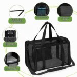 Vasmeiy Katzentransporttasche Faltbar – Tragetasche für Katzen & Hunde bis 6 kg – Bild 4