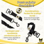 Hundefreund Ruckdämpfer 30 cm – Leinenverlängerung mit Zugdämpfung für entspanntes Gehen – Bild 5