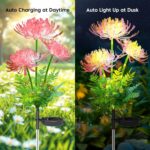 yowin Solar-Blumenleuchten 2er Set – Realistische LED Gartendeko mit automatischem Sensor – Bild 3