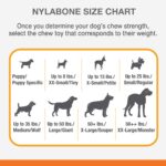Nylabone Power Chew XXL Kauknochen Bison – Zahnpflege-Kauspielzeug für grosse Hunde ab 23 kg – Bild 4