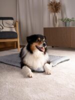 TrendPet Heaven Hundedecke 60x45cm – Wendbare Liegedecke für Hunde & Katzen – Bild 6
