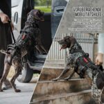 OneTigris SKYEWALKER Hundegeschirr M – Mobilitätshilfe mit 2 Hebegriffen für mittlere & grosse Hunde – Bild 5