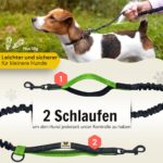 Hundefreund Joggingleine für kleine Hunde bis 15 kg – Freihandleine mit Bauchgurt – Bild 6