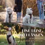 FREUDENTIER Hundeleine 2m Schwarz – Gepolsterte Führleine für grosse Hunde – Bild 4