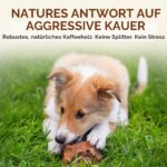 Wildfang® Kauwurzel Grösse M aus Baumheide – Natürliches Kauspielzeug für Hunde 15–25 kg – Bild 4