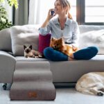 CALIYO Hundetreppe 3 Stufen 60×40×40 cm – Gelenkschonende Haustierrampe für Bett & Couch – Bild 7