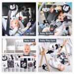 Joyreal Kontrastbuch & Kinderwagen Spielzeug Set – Sensorik Entwicklung für Neugeborene 0-12 Monate – Bild 6