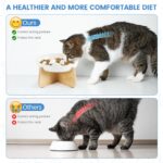 IDOGCHEW Erhöhter Keramik Anti-Schling-Napf für Katzen – Slow Feeder mit Bambusständer – Bild 3