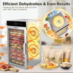 SUCISENI 800W Dörrautomat mit 18 Ablagen – Profi-Dehydrator mit Edelstahl & Touch-Control – Bild 7