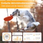 Pawfit 3 GPS-Tracker für Hunde & Katzen – Echtzeit-Ortung mit Weglaufalarm – Bild 4