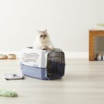 Amazon Basics Hundehütte zweitürig 58L x 38W x 33H cm – Transportbox mit Belüftung – Bild 13