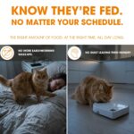 Cat Mate C500 Futterautomat mit 5 Näpfen & Digitaltimer – Automatische Fütterung für Katzen – Bild 15