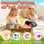 Molleyzi Pop-Up Pilz Motorikspielzeug aus Holz – Montessori Lernspiel ab 12 Monaten – Bild 2