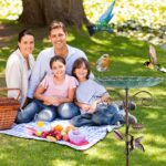 Restorgan Vogeltränke Stehend 26 cm – Stabiles Vogelbad aus Metall mit 5-Zinken-Basis – Bild 5
