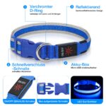 Colaseeme LED-Leuchthalsband Hund M – USB-C aufladbar, 3 Leuchtmodi, wasserdicht – Bild 3