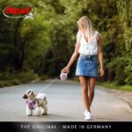 flexi Select M Hundeleine mit Gurt 0–7m – Stufenlos verstellbare Rolleine für Hunde – Bild 9