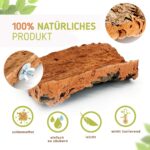 Vogelgaleria Korksitzbrett groß 20x10 cm – Natürliche Schnabel- & Krallenpflege für Wellensittiche & Papageien – Bild 3