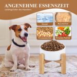 Erhöhter Hundenapf 850 ml Keramik mit Bambusgestell – Ergonomisch für Senioren – Bild 8