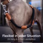 FREUDENTIER Hundeleine 2m – 3-Fach verstellbare Führleine mit Echtleder für grosse Hunde – Bild 2