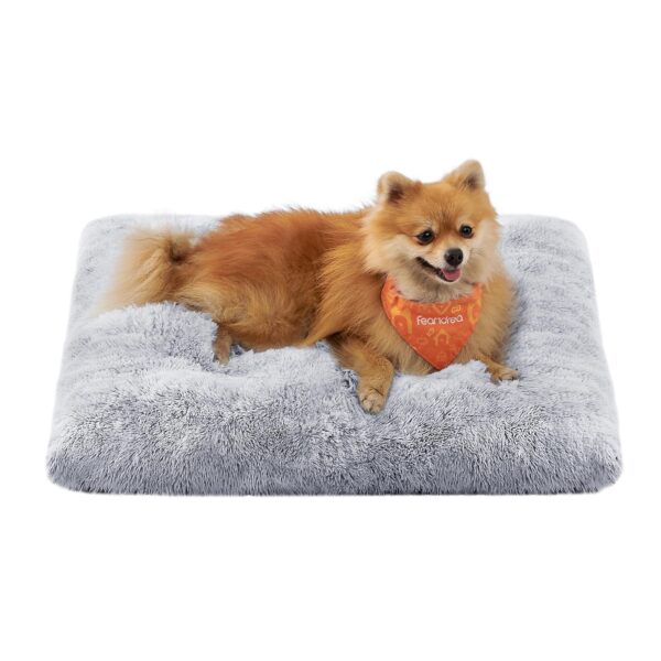 Feandrea Hundebett 65x45 cm mit Plüsch & PP-Polsterung – Waschbares Hundekissen BOBBEE