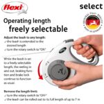 flexi Select M Hundeleine mit Gurt 0–7m – Stufenlos verstellbare Rolleine für Hunde – Bild 3