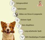 Matchpet Olivenholz Kauknochen L – Natürliches Kauspielzeug für grosse Hunde 26–35 kg – Bild 4
