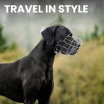 BRONZEDOG Hundemaulkorb XL mit Lederbändern – Atmungsaktiv & Verstellbar für Grosse Hunde – Bild 6