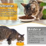 Vikcvcsc 5er Keramik-Katzennapf-Set mit Silikonboden – Anti-Whisker-Fatigue für Katzen – Bild 5