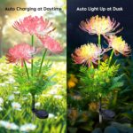 Redefun 2er Set Solar-Blumenleuchten mit 120 LED – IP65 Gartenbeleuchtung für Aussen – Bild 4
