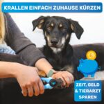 BluePet Krallenschere für Hunde & Katzen – Sicherer Schnitt mit integrierter Feile – Bild 2