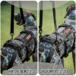 OneTigris SKYEWALKER Hundegeschirr M – Mobilitätshilfe mit 2 Hebegriffen für mittlere & grosse Hunde – Bild 3