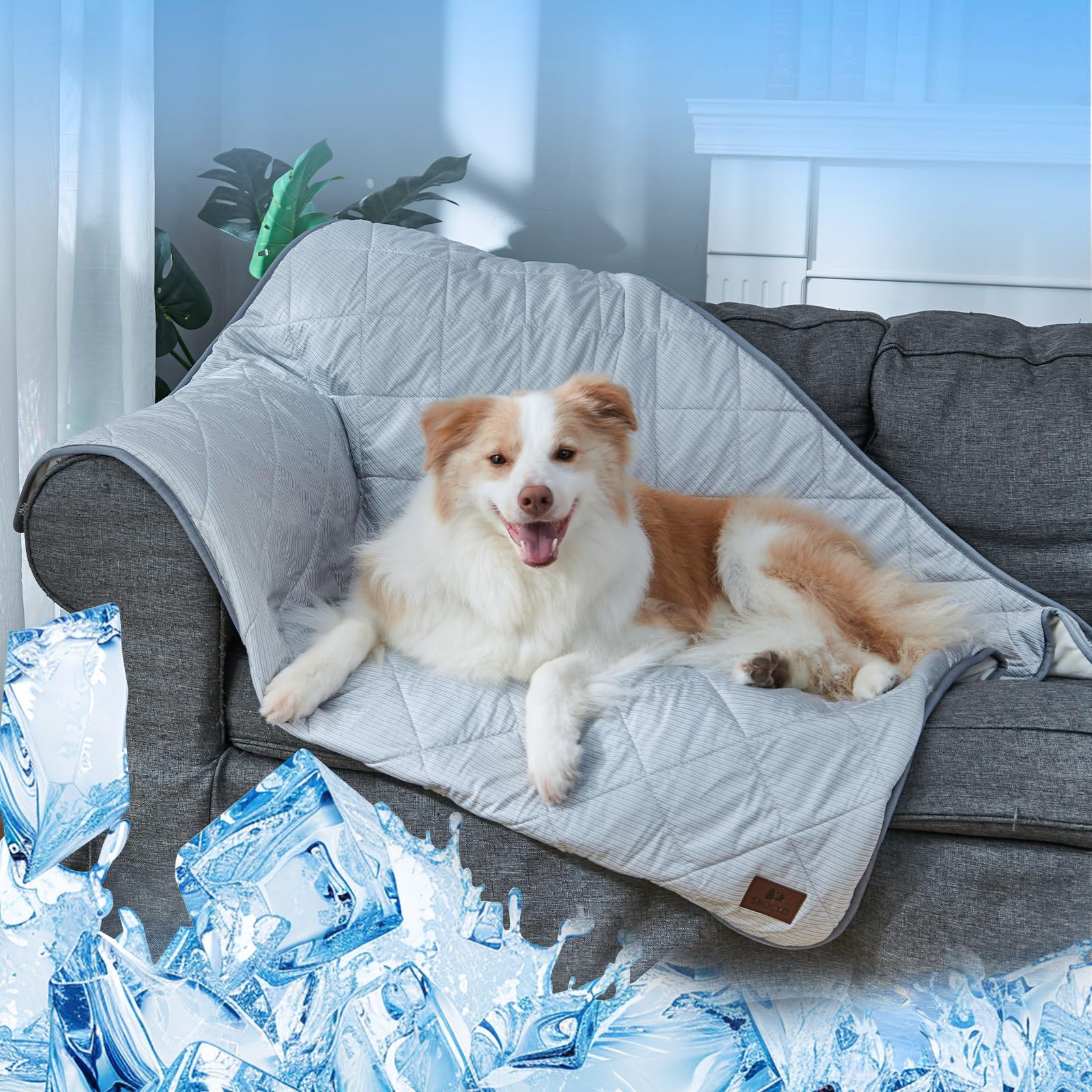 Snocyo Kühldecke 89×75cm – wasserdichte Hundedecke mit Plüsch für alle Jahreszeiten