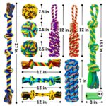 SHARLOVY XL Kauspielzeug-Set 14 Stück – Robustes Seilspielzeug für aggressive Kauer & grosse Rassen – Bild 6